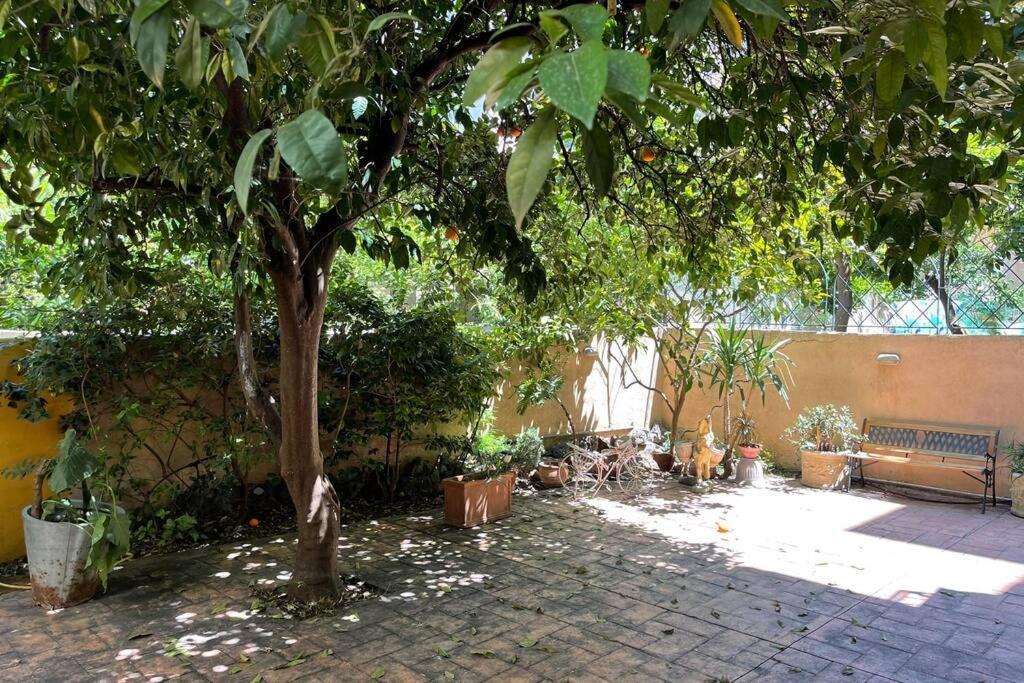 Attic Studio Stay Kalamata Exteriér fotografie